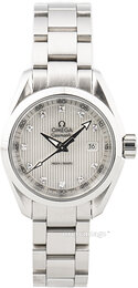 Omega Seamaster Aqua Terra 150M 231.10.30.60.55.001