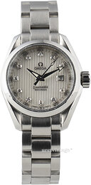 Omega Seamaster Aqua Terra Jewellery 231.10.30.61.55.001