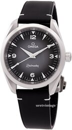Omega Seamaster Railmaster 235.12.38.20.06.001