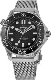 Omega Seamaster Diver 300m 210.30.42.20.01.010