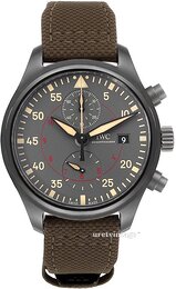 IWC Pilots Classic IW389002