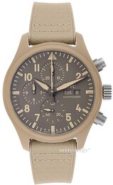 IWC Pilots IW389103